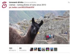 Twitter Innocent 1